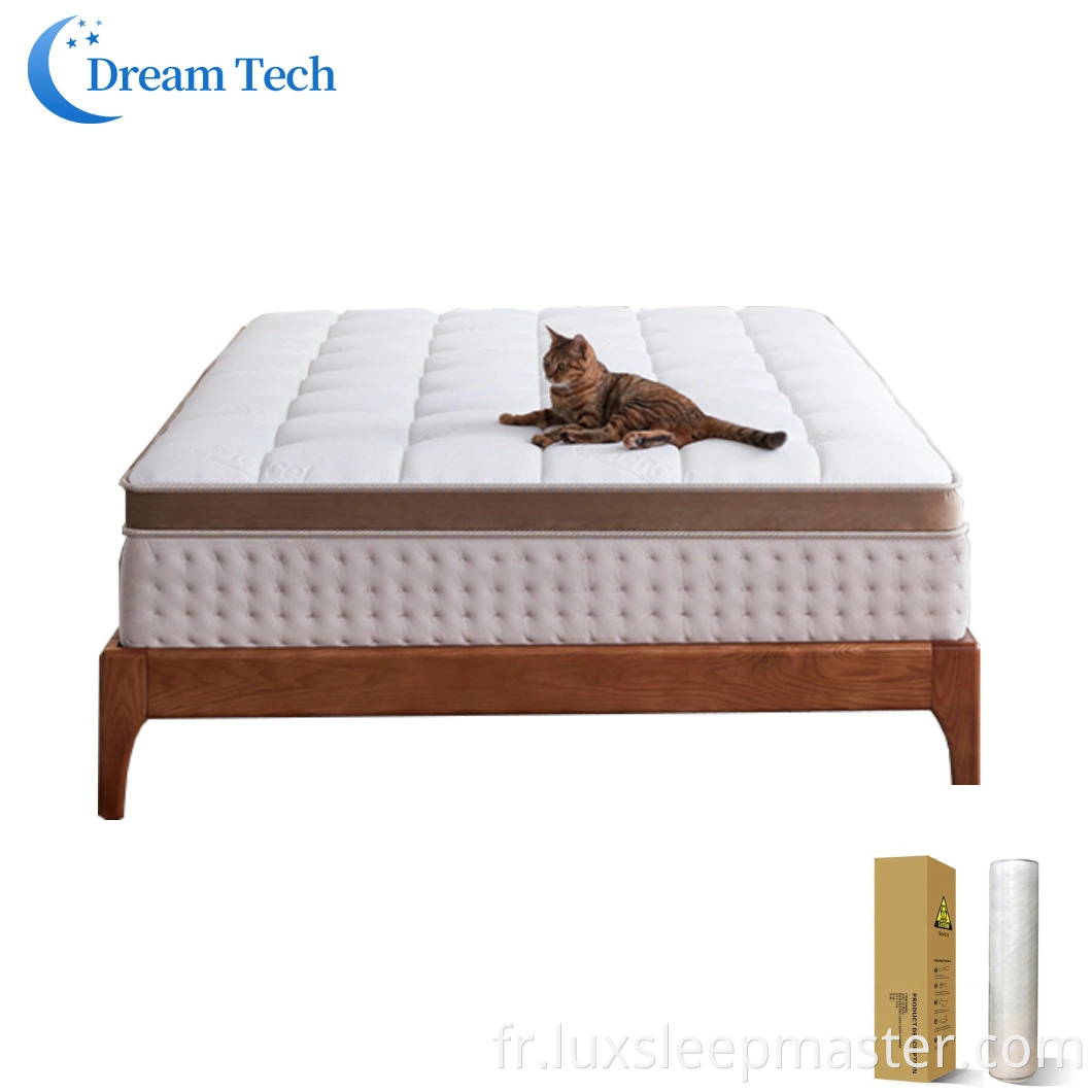 Matelas de poche à ressort de style simple d'approvisionnement professionnel pour les meubles de maison de chambre fabriqués en Chine